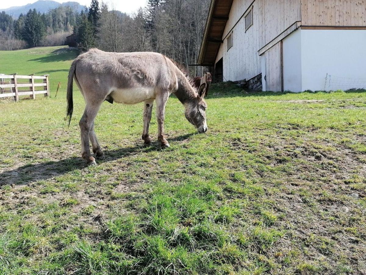 Holiday On An Organic Farm In Hart Im Zillertal Dış mekan fotoğraf