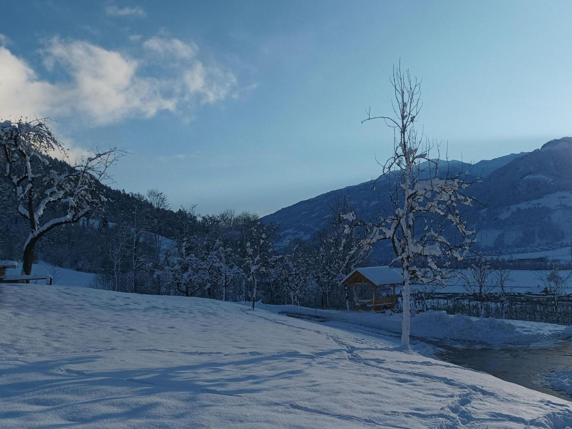 Holiday On An Organic Farm In Hart Im Zillertal Dış mekan fotoğraf